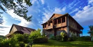 Vila Zora - 多布尔纳