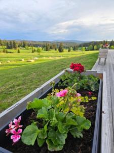 Ubytování U Křížku