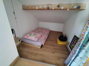 Appartements La Belle Florentine : photos des chambres