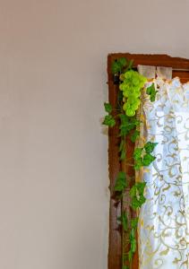 Camy Wine House con giardino vicino alla stazione ferroviaria