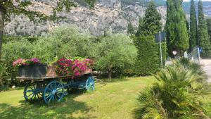 Agriturismo Vin e Amor