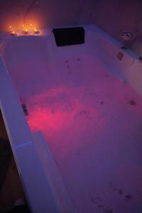 Appartements L-Experience Appartement & SPA Prive CHAMBERY : photos des chambres