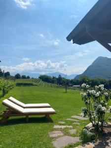 B&B La Casa in Collina