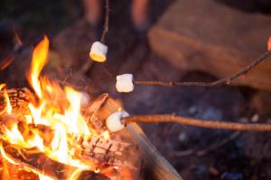 Campings Logement insolite L-heureux hasard - van vintage : photos des chambres