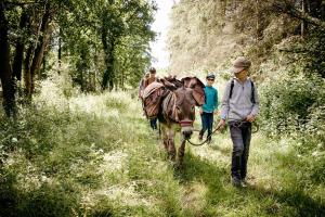 Campings Logement insolite L-heureux hasard - van vintage : photos des chambres