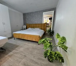 Emile Zola - Kiryat Ekron