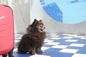 Loop INN Hostel Cartagena