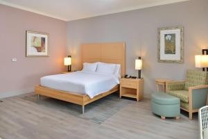King Room with Tub - Mobility and Hearing Access room in Hilton Garden Inn Denton