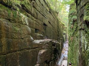 B11 NEW Awesome Tiny Home with AC Mountain Views Minutes to Skiing Hiking Attractions