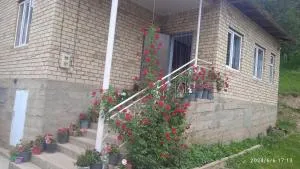 Guest house Kyzyl alma - Kara-Sakal