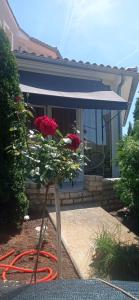 Villa Gregovica &T 2 