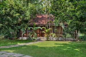 Big Banyan Vineyard & Resort