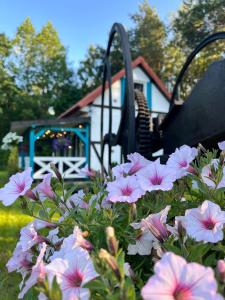 Domek wakacyjny Wczasy jak Marzenie