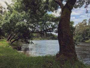 Apartamento com quintal na Vila