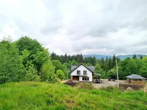 Poiana Cerbilor - Brădetu