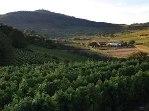 Ferienwohnung Schambachhof - Bötzingen