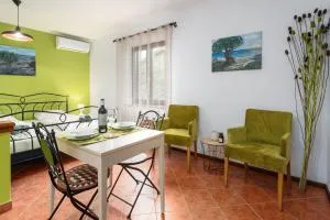 Studio Apartment - Flengi