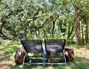 Appartements Appartement 2 chambres avec jardin : photos des chambres