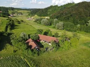 Guesthouse DARKWOOD - Letovčan Tomaševečki
