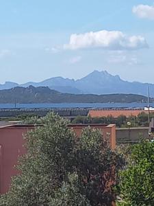 Residenza Benvenuto Cellini img4