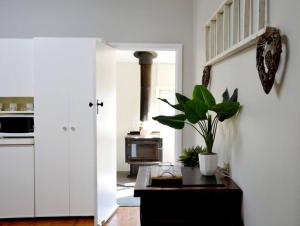 Wallace Cottage Dog friendly accommodation