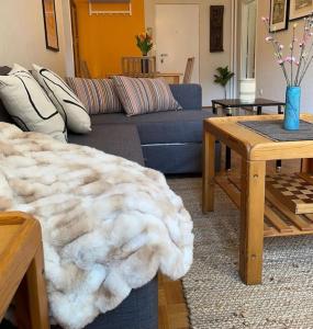 Lelas Place Vojvode Brane