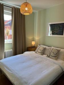 Lelas Place Vojvode Brane