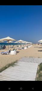 Mohamed Afifi GAIA Ras El-Hekma - Penthouse 2BR- Families Only