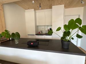 Bodenseeblick Dornbirn