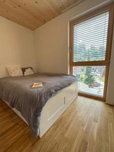 Bodenseeblick Dornbirn