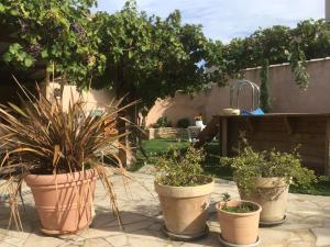 Maisons de vacances Gite en Provence a 10 mn d avignon : photos des chambres