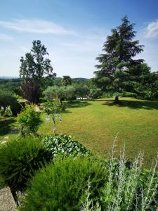 Maisons de vacances Domaine L-Amourie Sud Ardeche : photos des chambres