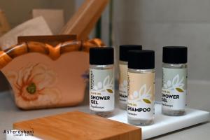 Asteroskoni Luxury Suites