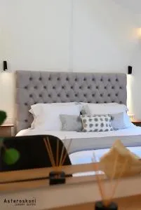 Asteroskoni Luxury Suites - 新基奥斯