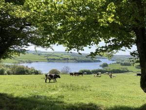 The Pony Stalls Brompton Regis