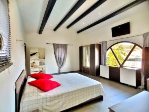 Maisons de vacances O- bien-etre provencal : photos des chambres