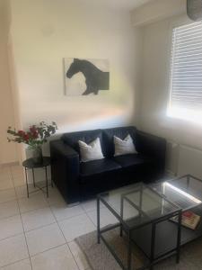 Business-Wohnung Messe Basel