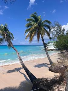 Purple Rain - Direct Seaviews, 2 Bedroom, 2 Bathroom, 3 Terrace Beachfront Bliss