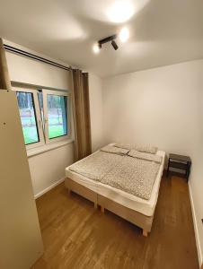 Apartament Szum