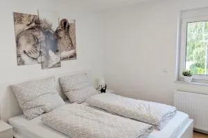 Möbliertes 3-Zimmer Apartment mit Balkon - 辛德尔芬根