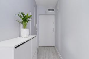 One Bedroom Apartment with a Balcony - Dietla 109 street