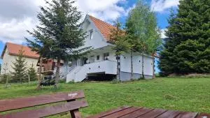 Vila Holiday - Golija - Dromiće