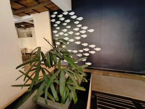 Casa Cintilante 2BR Apt ,Zennova Stays