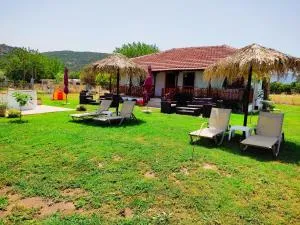 RODAVGI - 卡拉姆西