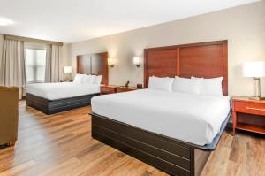 Superior King Suite - Non-Smoking room in Comfort Inn Wytheville - Fort Chiswell