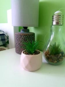 Summer Apartment Petrovac