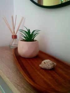 Summer Apartment Petrovac