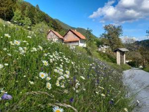 Miklavževa hiša with a bread oven