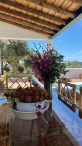 Monte Das Aguas Frias