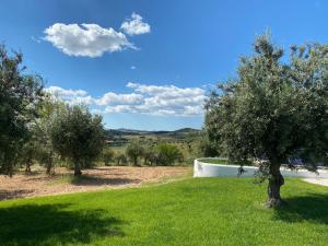 Monte Das Aguas Frias